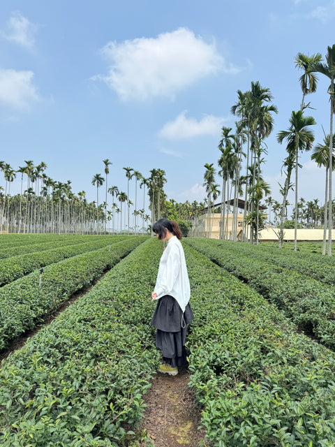 our tea farm in Taiwan